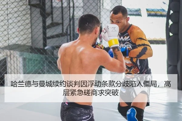 ha-lan-de-yu-man-cheng-xu-yue-tan-pan-yin-fu-dong-tiao-kuan-fen-qi-xian-ru-jiang-ju-gao-ceng-jin-ji-cuo-shang-qiu-tu-po-2-376.jpg